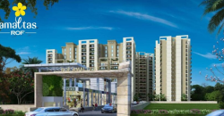 ROF Amaltas Sector 92 Gurgaon