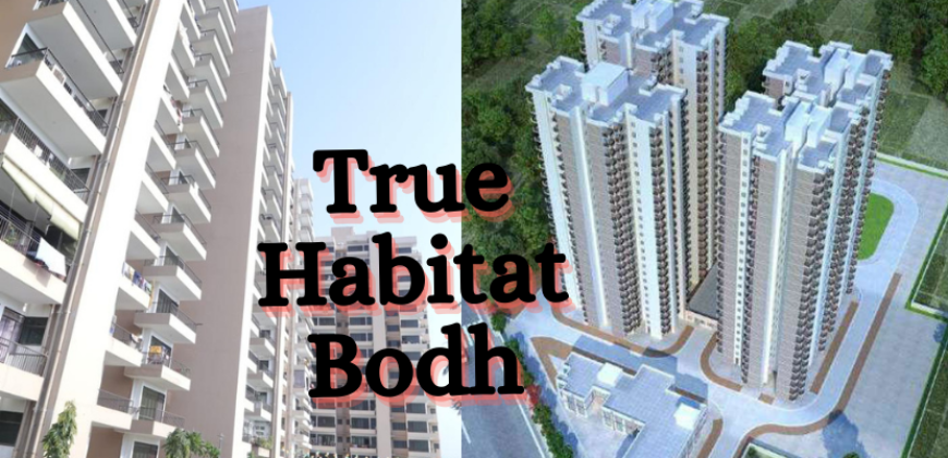 True Habitat Bodh 79 Affordable Flats Sector 79 Gurgaon
