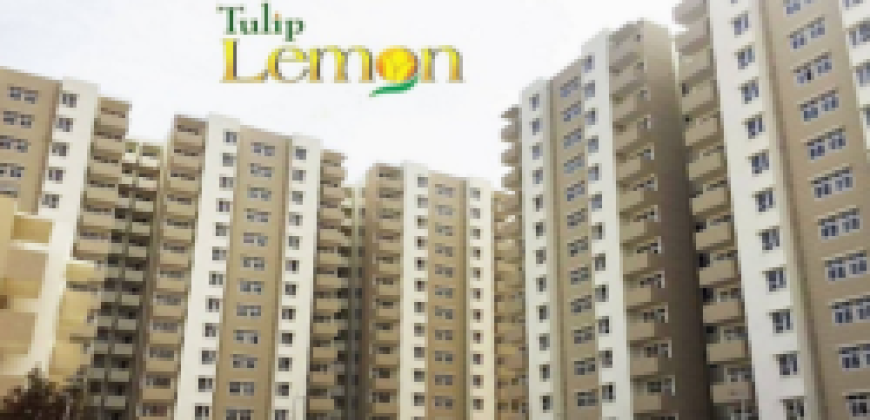 Tulip Lemon Sector 69 Gurgaon