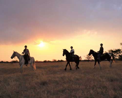 elan-the-presidential-horse-riding-facility