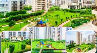 Chintels Serenity Sector 109 Gurgaon | Luxury Apartments on Dwarka Expressway